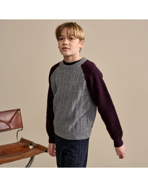 Pull en Laine mélangée Aece gris/prune