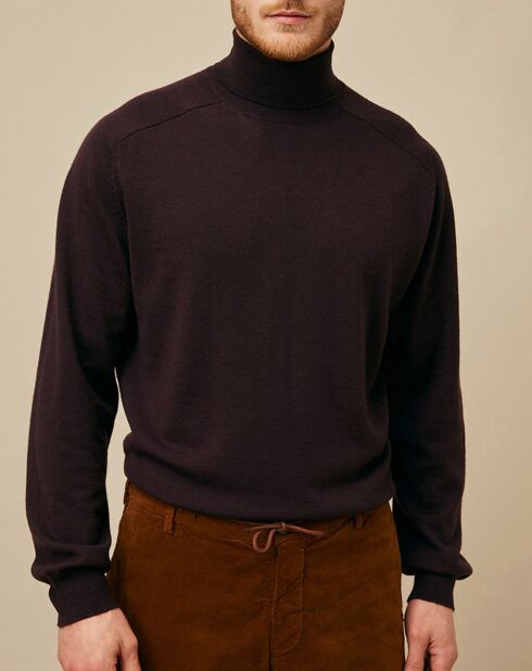 Pull 100% Laine Mérinos James cachou