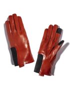 Gants en Cuir d'Agneau doublure Cachemire Hoots terra