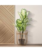 Cache-pot Panama  marron - D.31.5x40 cm