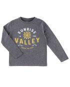 T-Shirt Valley  gris