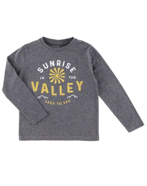 T-Shirt Valley  gris