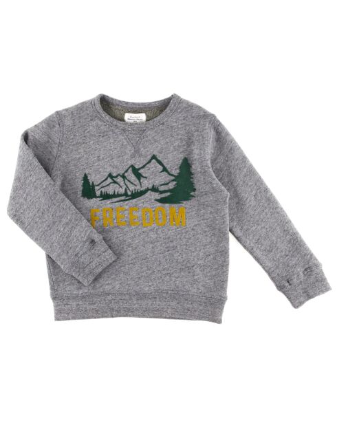 Sweat Crew Freedom gris