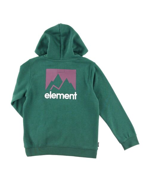 Sweat à capuche logo vert foncé