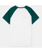 T-Shirt en Coton Néo bicolore vert/blanc