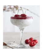 6 transparente Cocktailgläser — 235 ml