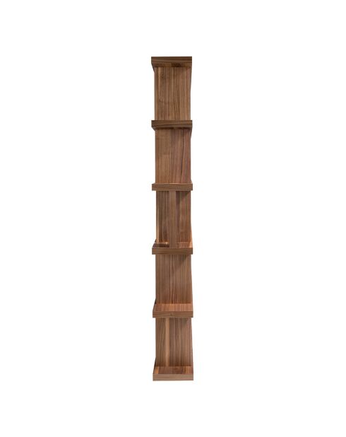 Vernietigde boekenkast van gefineerd walnoothout - 120x23x195 cm