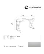 Bureau laqué 2 tiroirs et pieds en acier blanc/argenté - 120x61x76 cm