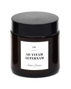 Bougie parfumée latin parfum aléatoire - 1 mèche 12h