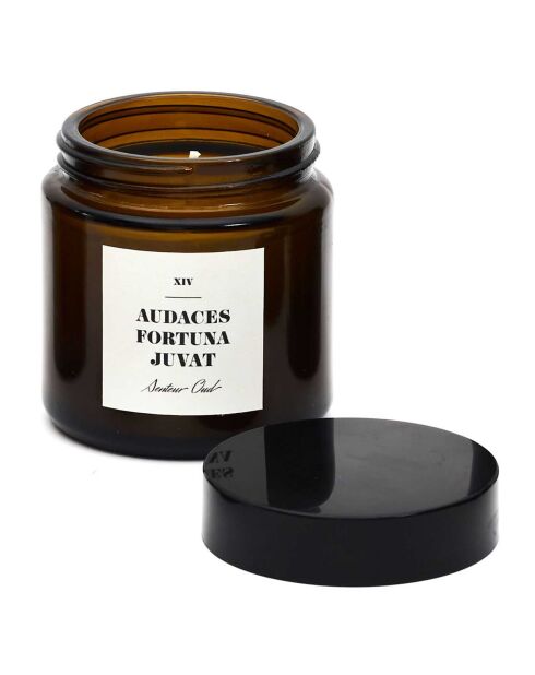 Bougie parfumée latin parfum aléatoire - 1 mèche 12h