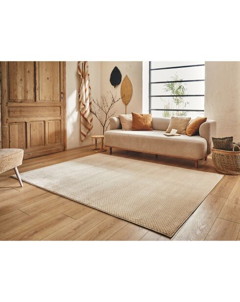 Tapis Bianca 173 creme/beige - 80x150 cm