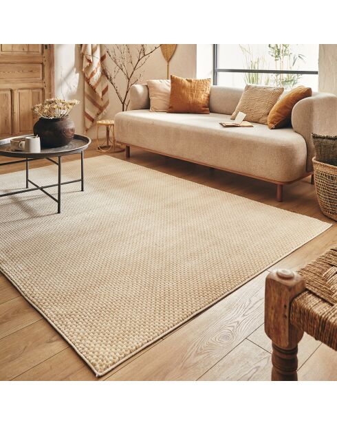 Tapis Bianca 173 creme/beige - 80x150 cm