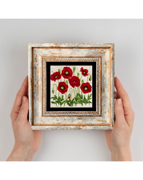 Tableau Coquelicots multicolore - 20x20 cm