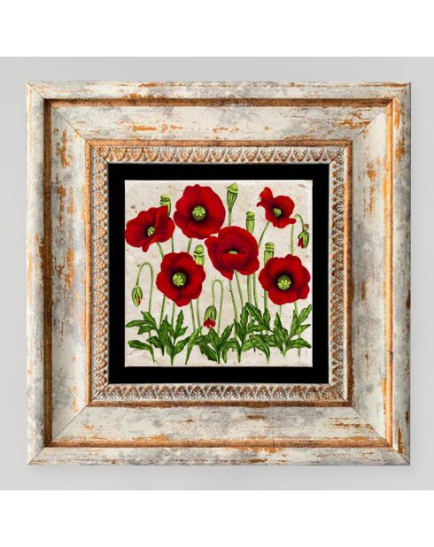 Tableau Coquelicots multicolore - 20x20 cm