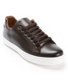 Sneakers en Cuir Marin marron foncé
