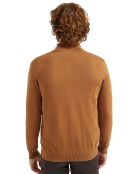 Pull Gabriel camel