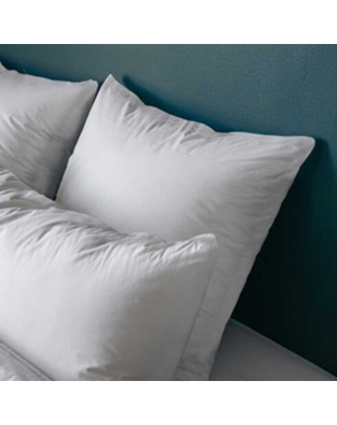 Oreiller ferme Anti Acariens Greenfirst blanc - 60x60 cm