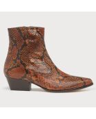 Bottines en Cuir serpent Choral marron