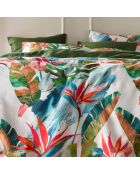 Parure housse de couette en Satin de Coton Barbados freetop