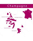 1 Champagne Brut Millésime 2010 Barons de Rothschild 75cl