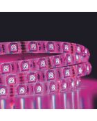 Ruban LED télécommandé transparent - 111x1x0.5 cm