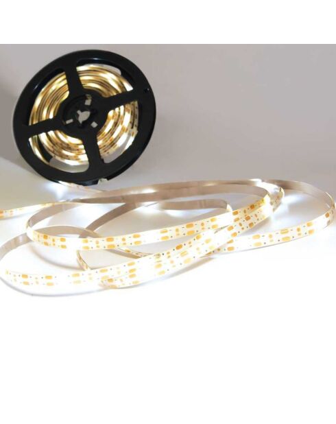 Filo di luce solare a LED bianco bianco - 300x0x0 cm