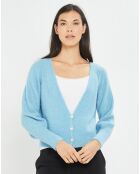 Cardigan Store ciel