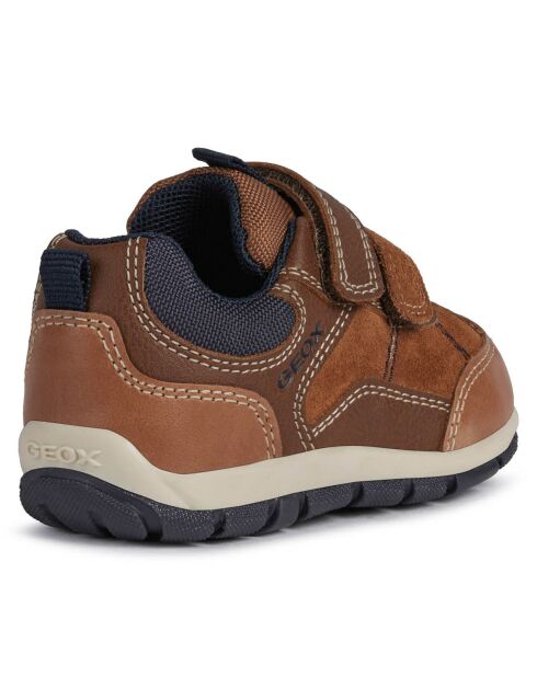 Sneakers Shaax marrone/blu scuro