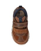 Sneakers Shaax marrone/blu scuro