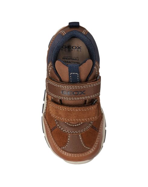 Sneakers Shaax marrone/blu scuro