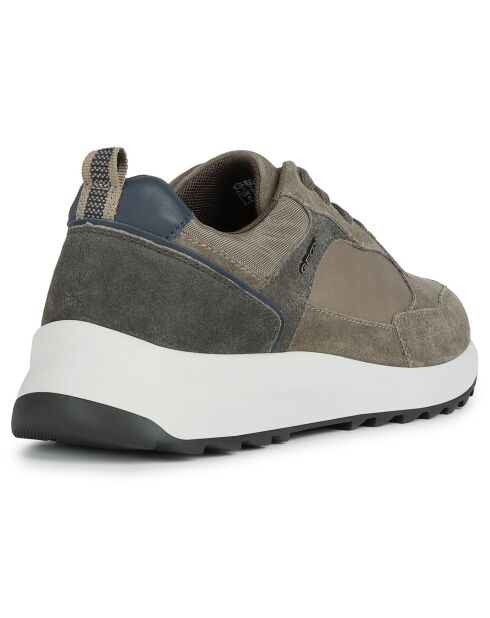 Baskets en Cuir Titanio gris colombe