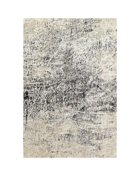 Tapis Evidence multicolore