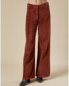 Pantalon en Velours Platine cacao