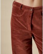 Pantalon en Velours Platine cacao