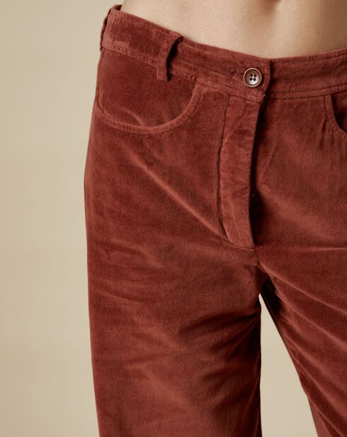 Pantalon en Velours Platine cacao