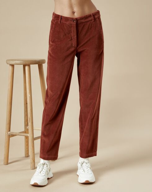 Pantalon en Velours Perfect cacao