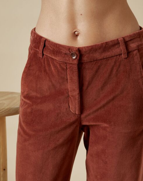 Pantalon en Velours Perfect cacao