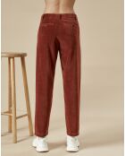 Pantalon en Velours Perfect cacao