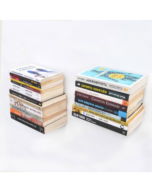 2 Etagères murale en métal WR042 brun/noir - 21x6x15 cm