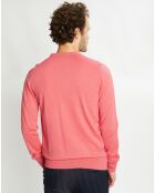 Pull 100% Laine col rond rose foncé