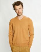 Pull 100% Cachemire Avy col V beige