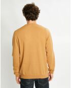 Pull 100% Cachemire Aron col rond beige