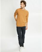 Pull 100% Cachemire Aron col rond beige