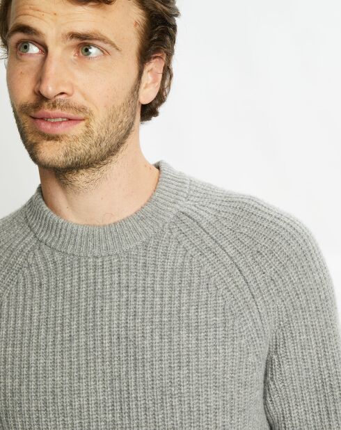 Pull en Laine & Cachemire Poterond col rond gris clair