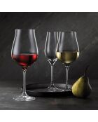 6 Verres à pieds Neo transparents -  40cl