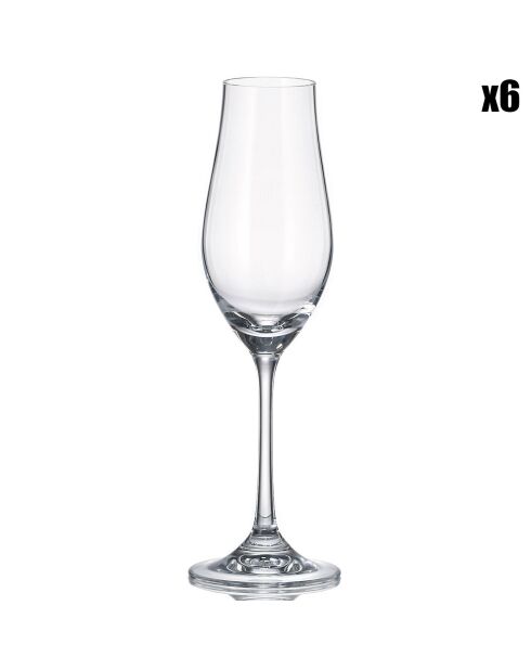 6 Flutes à champagne Neo transparents -  20cl