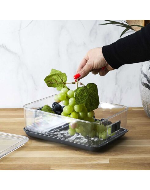 Boîte de conservation fruits et légumes 3.5l  transparent/gris - 18x9.2x27 cm