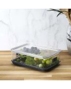 Boîte de conservation fruits et légumes 3.5l  transparent/gris - 18x9.2x27 cm