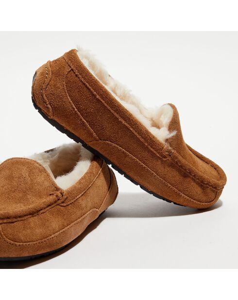 Chaussons fourrés Laine en Velours de Cuir Ascot intérieur fourré camel