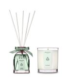 Coffret bougie parfumée Rhubarbe 55h + diffuseur - 100ml